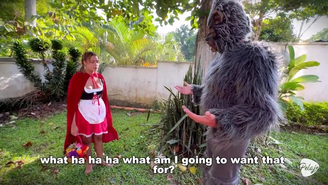 Little Red Riding Hood lost a fruit from her basket and is looking for it in the wolf's pants.